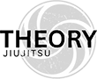 Theory Jiu-Jitsu Studio